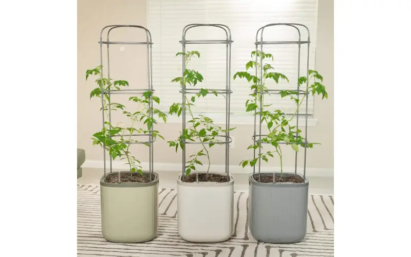 galvanized raised bed planter

