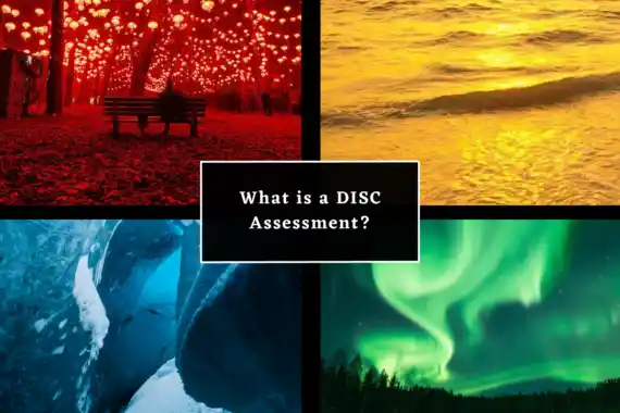 disc personality assessment