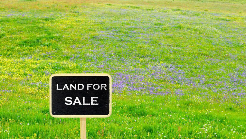 Affordable Land: Best Deals For Land For Sale In Florida Under $5000